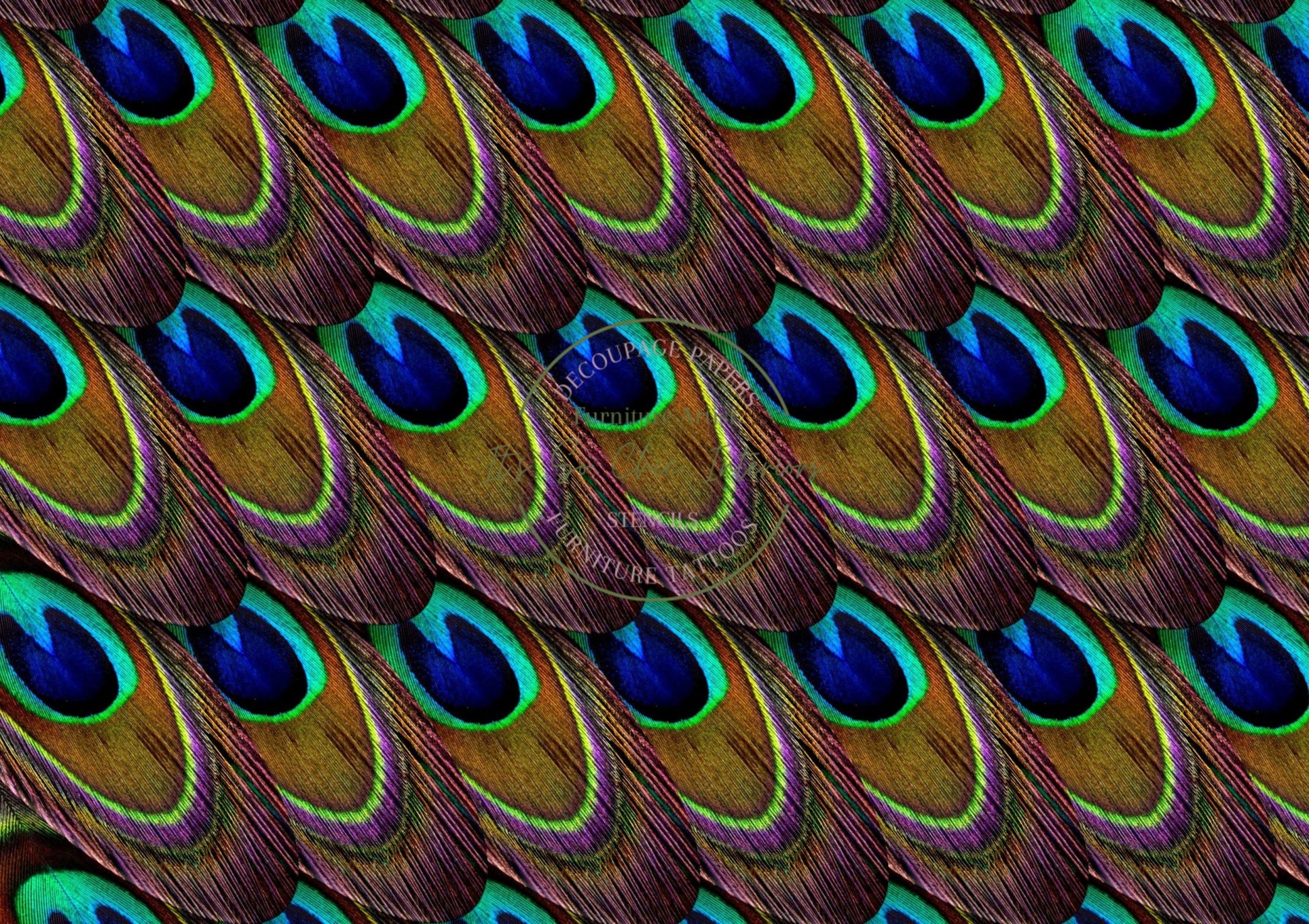 A1 Peacock Feather