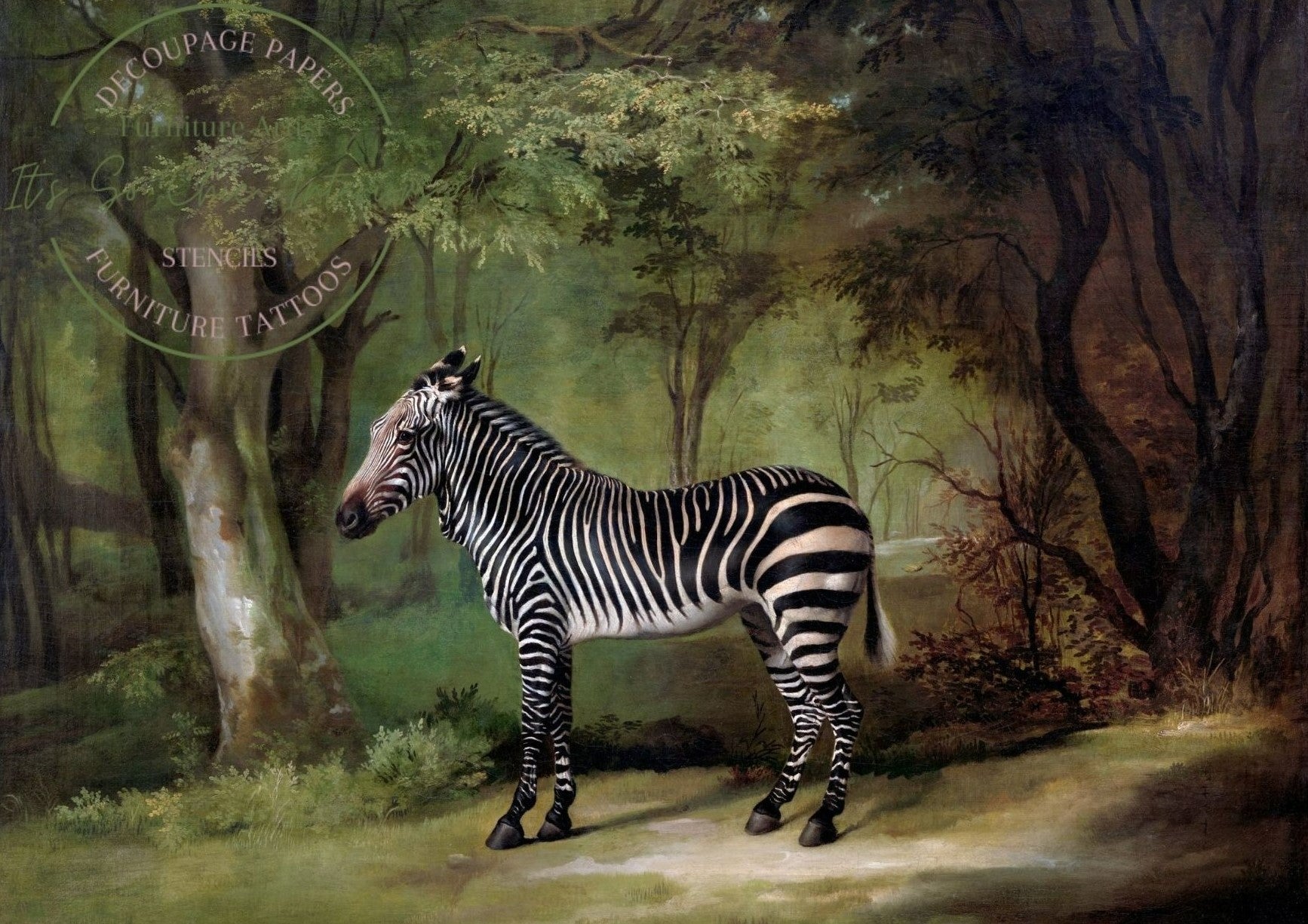 A1 Zebra by George Stubbs