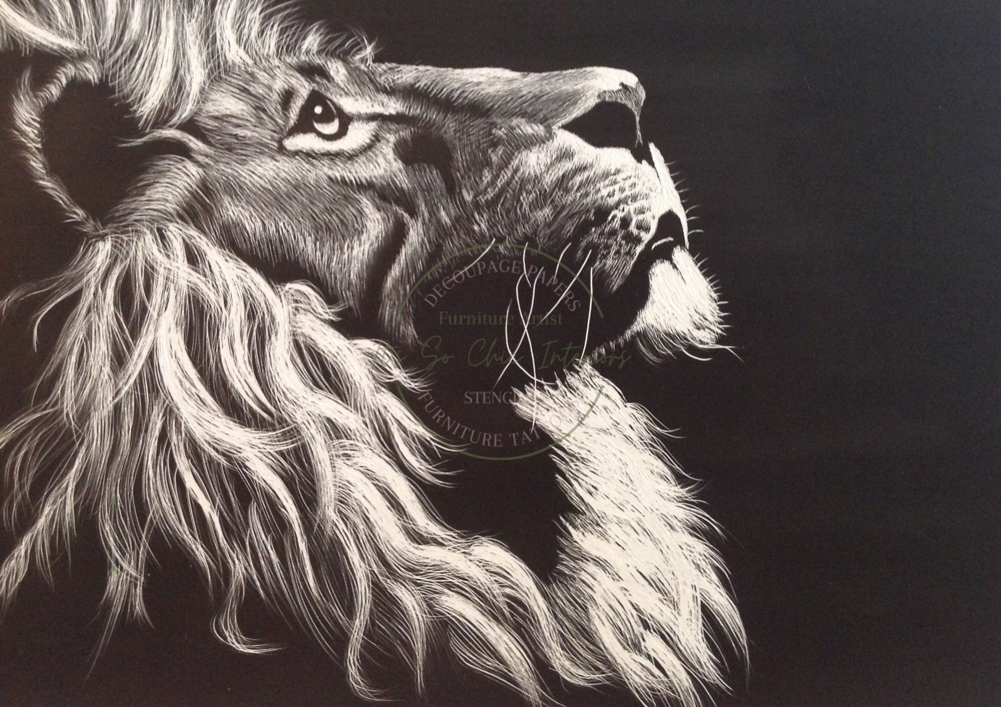 A2 Gazing Lion