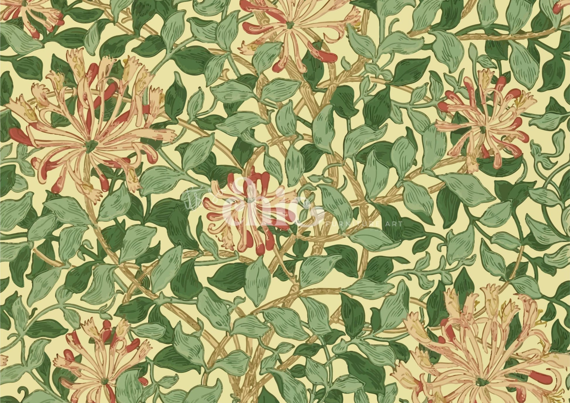 Honeysuckle