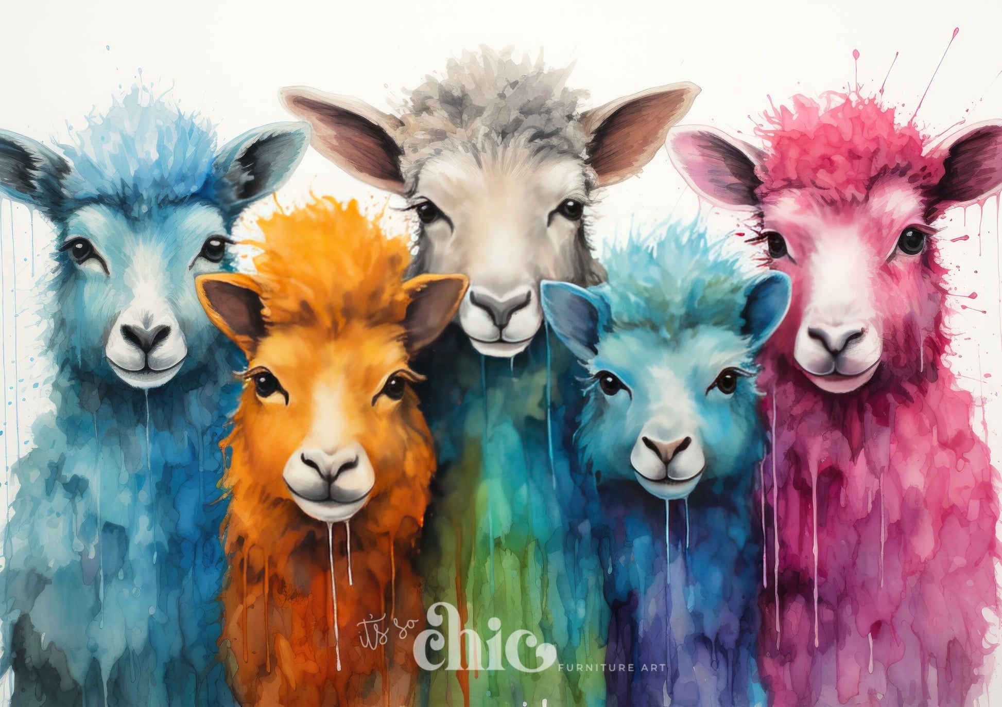 Sherbet Sheep