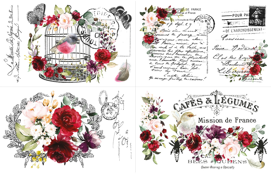 Cage a' Oiseaux Transfer