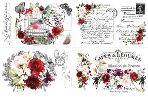 Cage a' Oiseaux Transfer