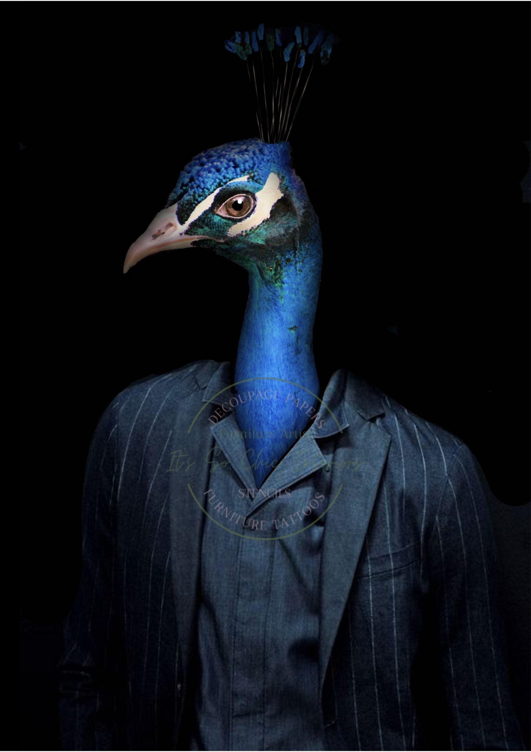 A1 Mr. Peacock