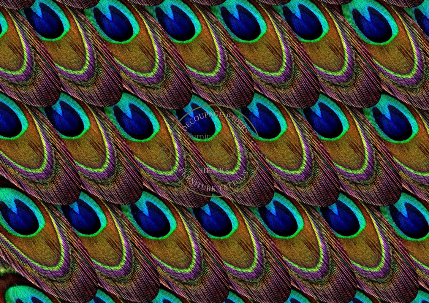 A1 Peacock Feather