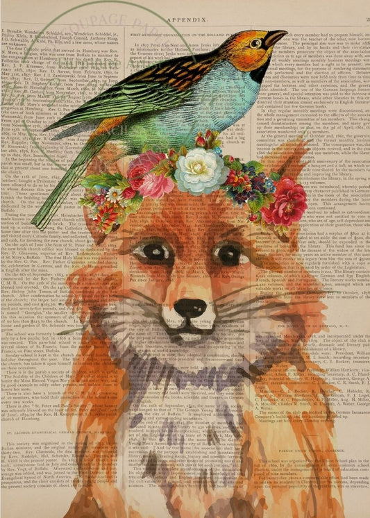 A2 Fox Newspaper