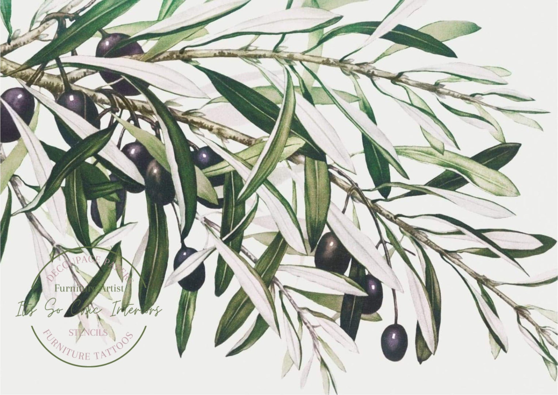 A3 Olives (POD)