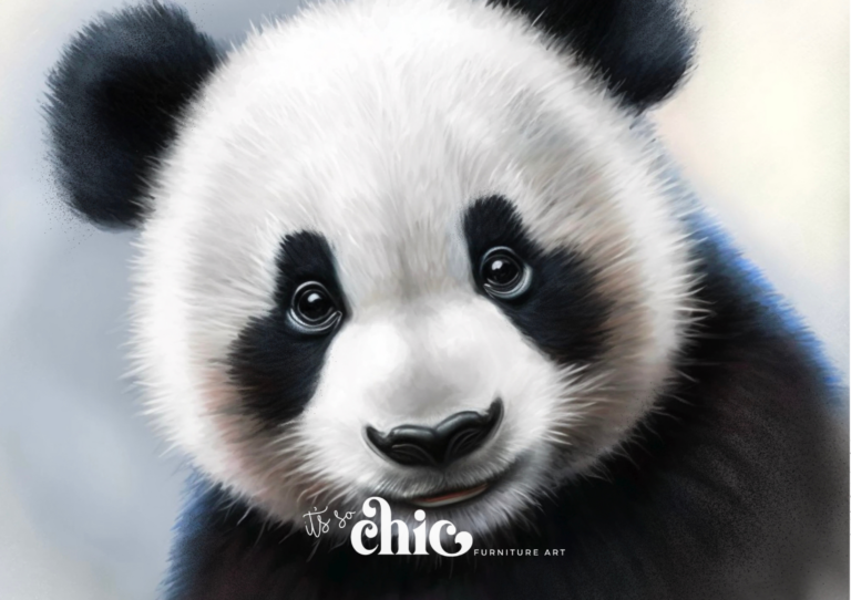Baby Panda