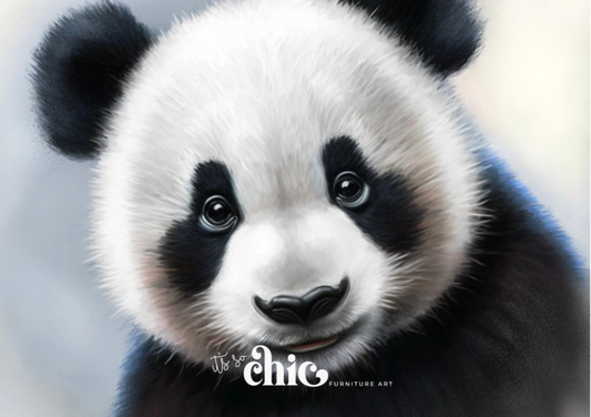 Baby Panda