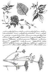 Clear Stamps