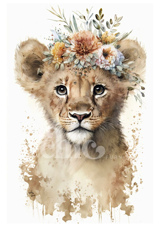 Cute Lion Cub Lulu