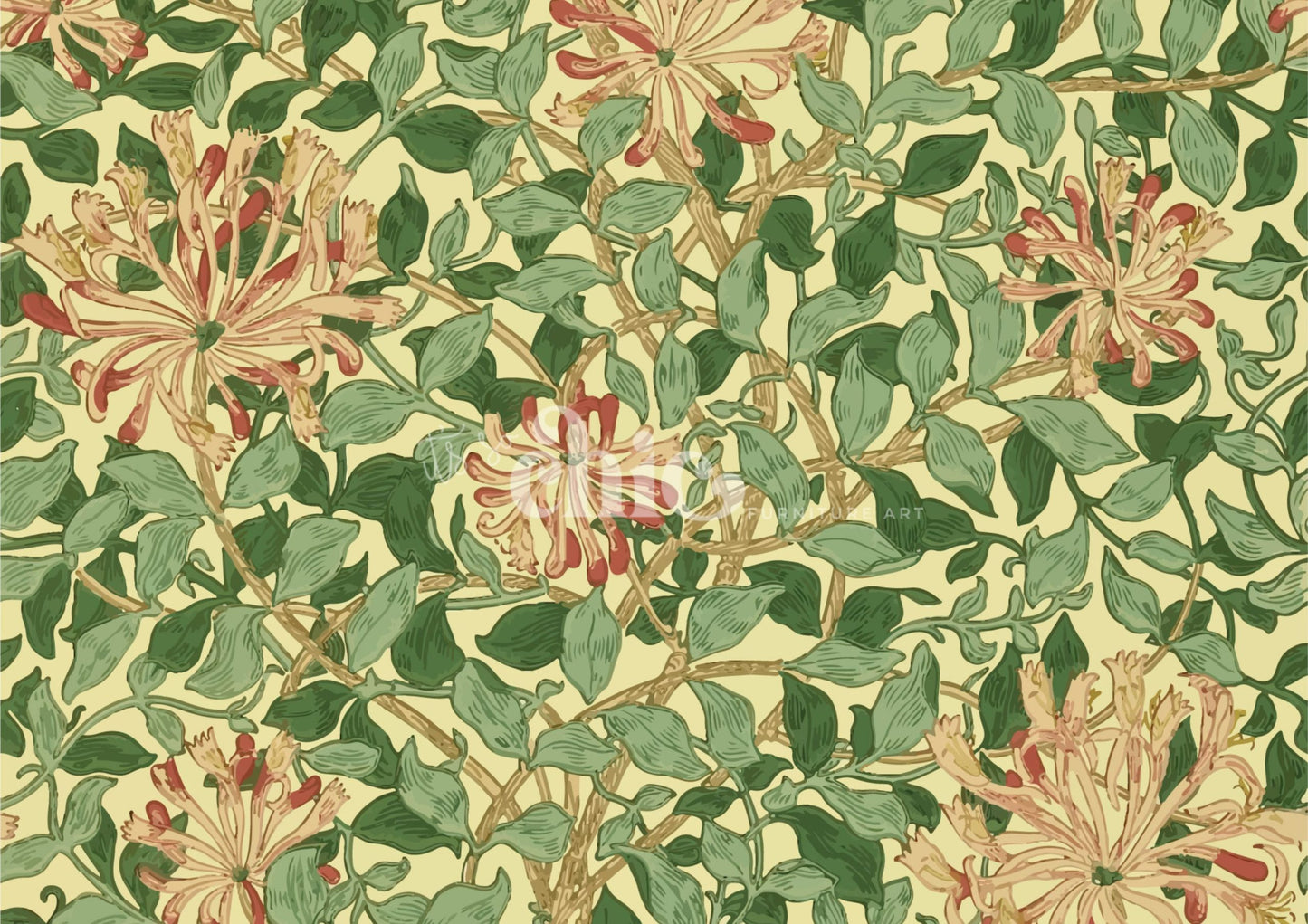 Honeysuckle