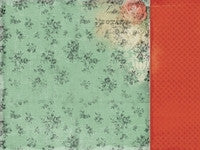 Curiosity Collection
