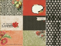 Curiosity Collection