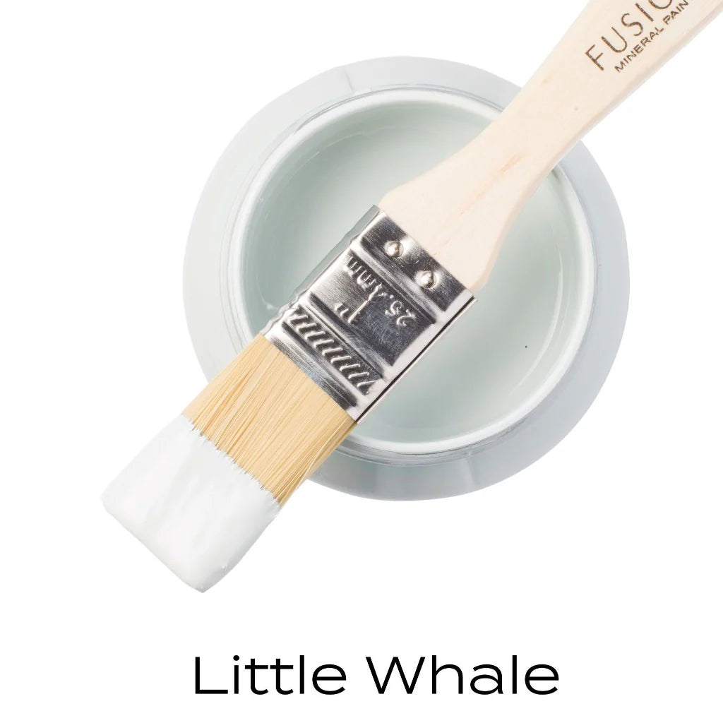 Little Whale