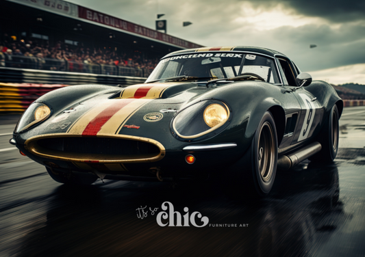 The Thrill of The Race
