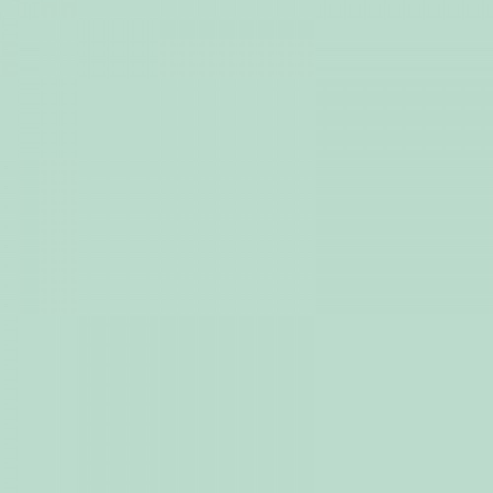 KAISERcard | Pistachio