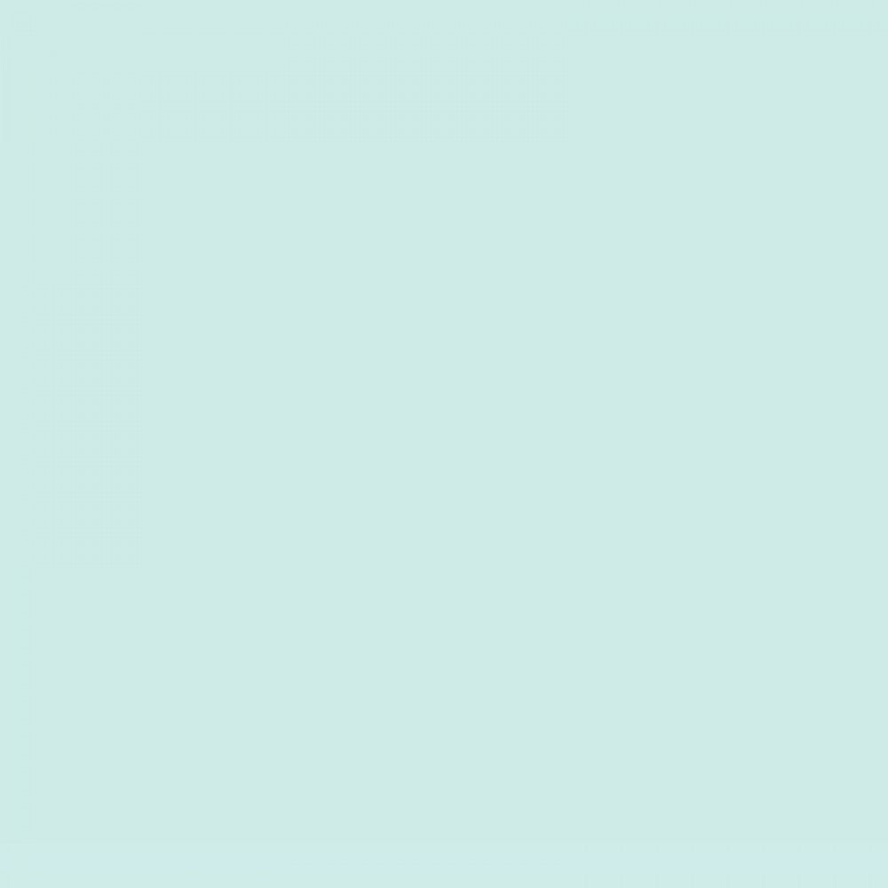 KAISERcard | Spearmint