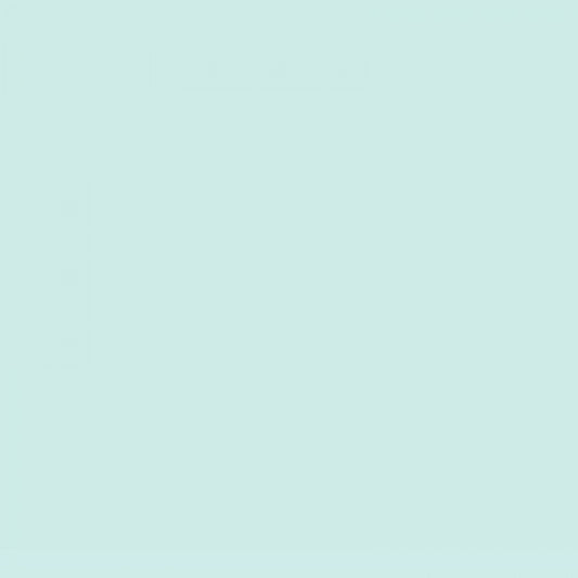 KAISERcard | Spearmint