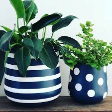 Paint a Pot & Sip Workshop