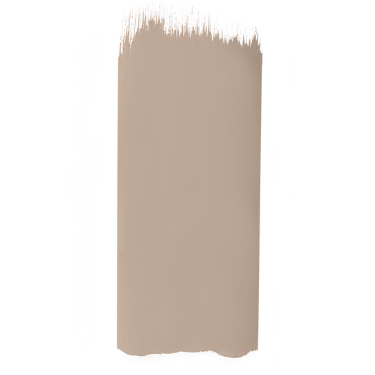 Salt Of The Earth